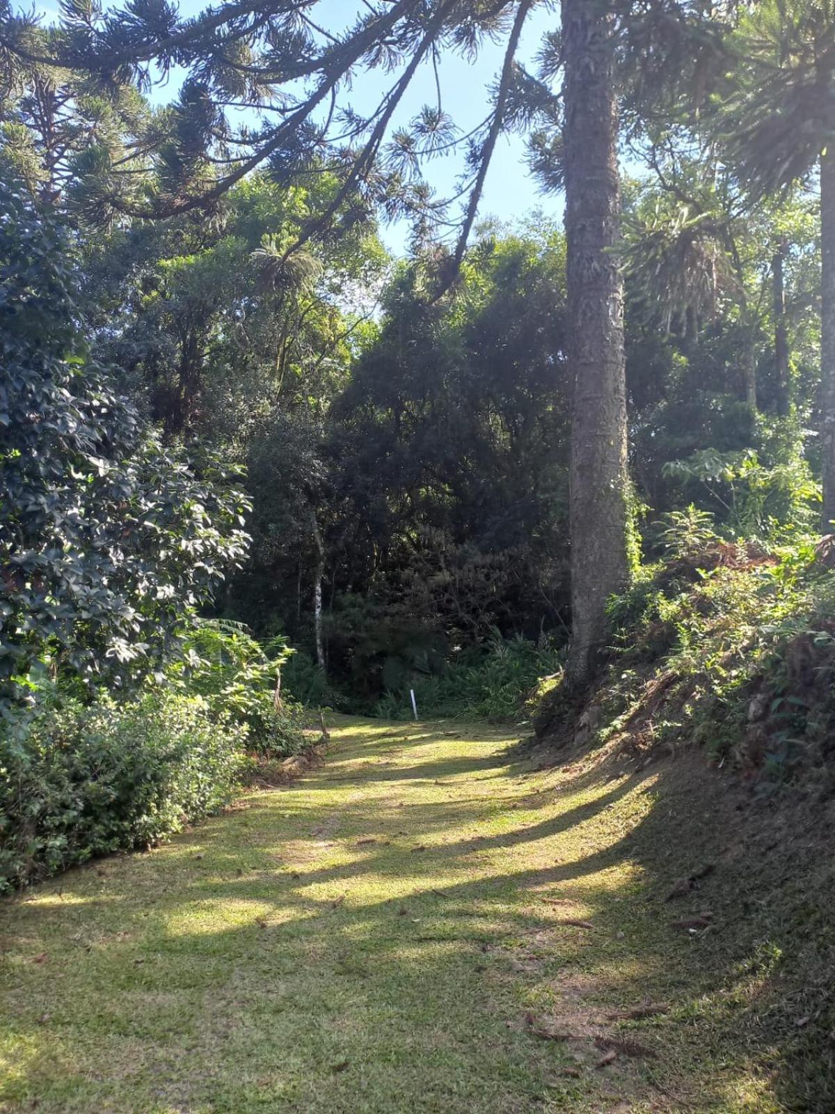 Casa Ampla E Aconchegante Em Gramado Villa Bagian luar foto